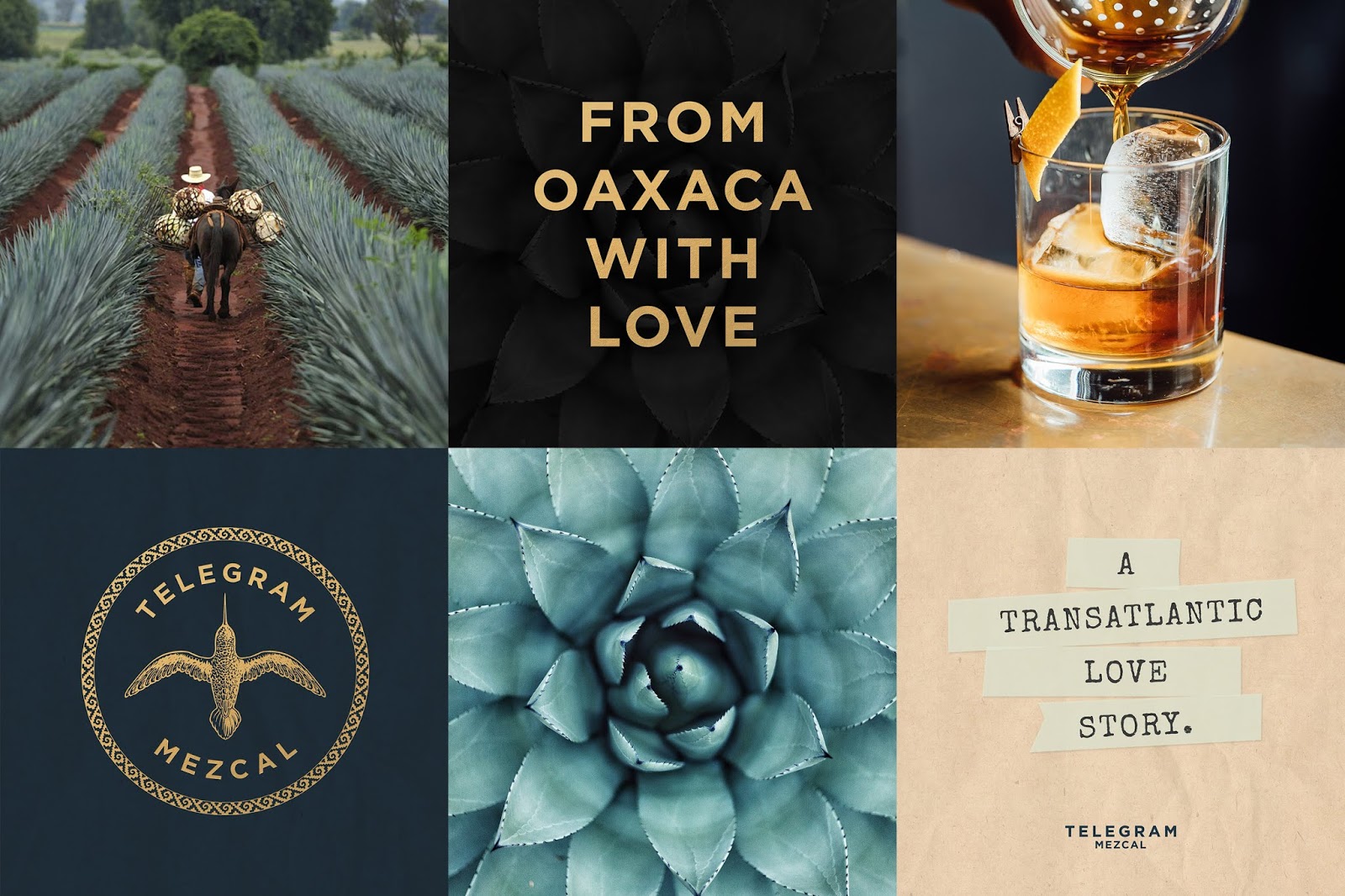 西安酒包裝設(shè)計參考(圖4)