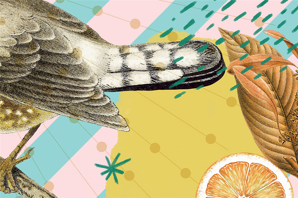 插畫咖啡包裝設計(圖6)