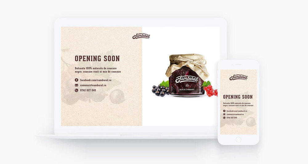 果醬包裝設(shè)計(jì)(圖4)