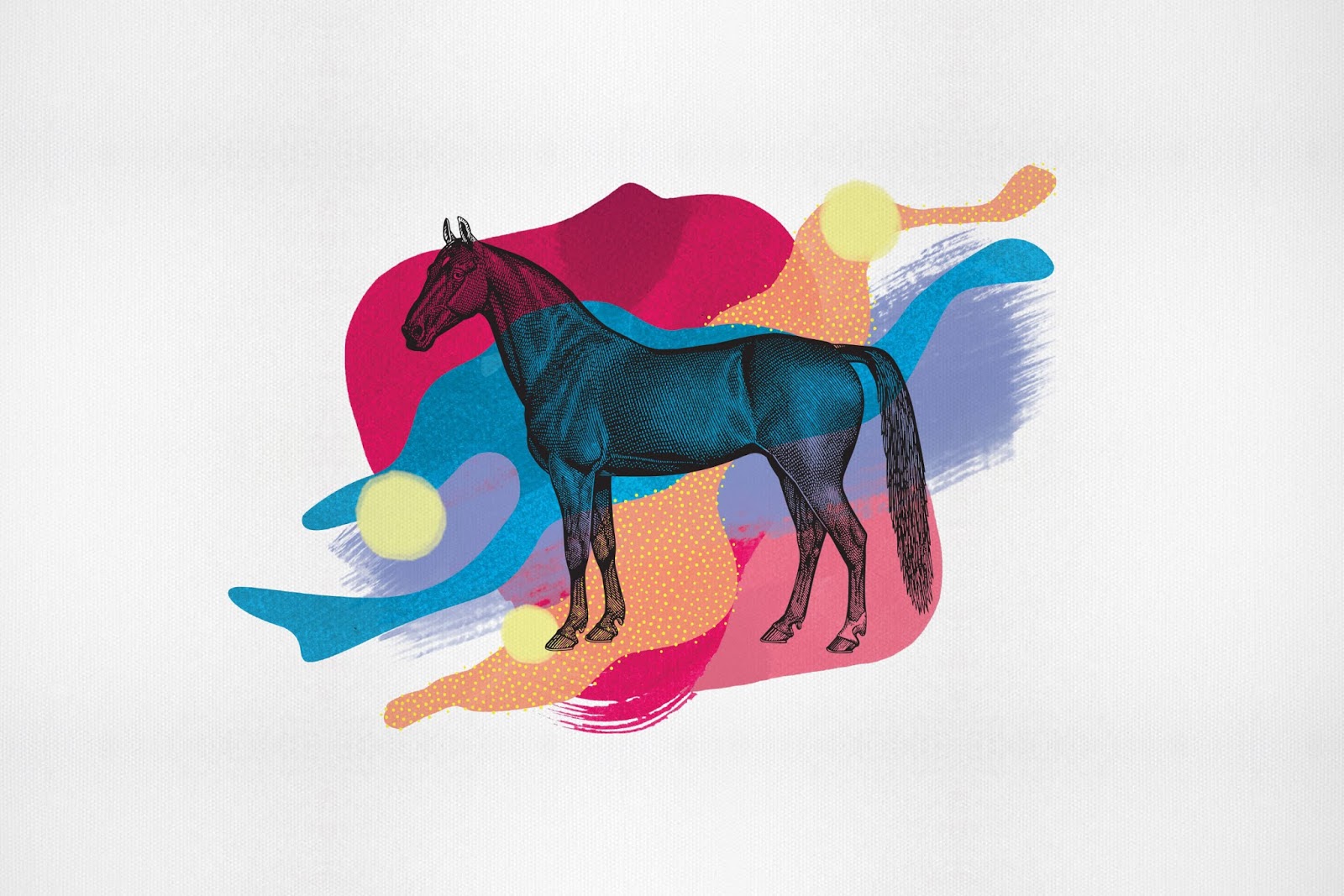 高端的葡萄酒包裝設(shè)計(jì)圖片欣賞(圖7) 高端的葡萄酒包裝設(shè)計(jì)圖片欣賞(圖7)