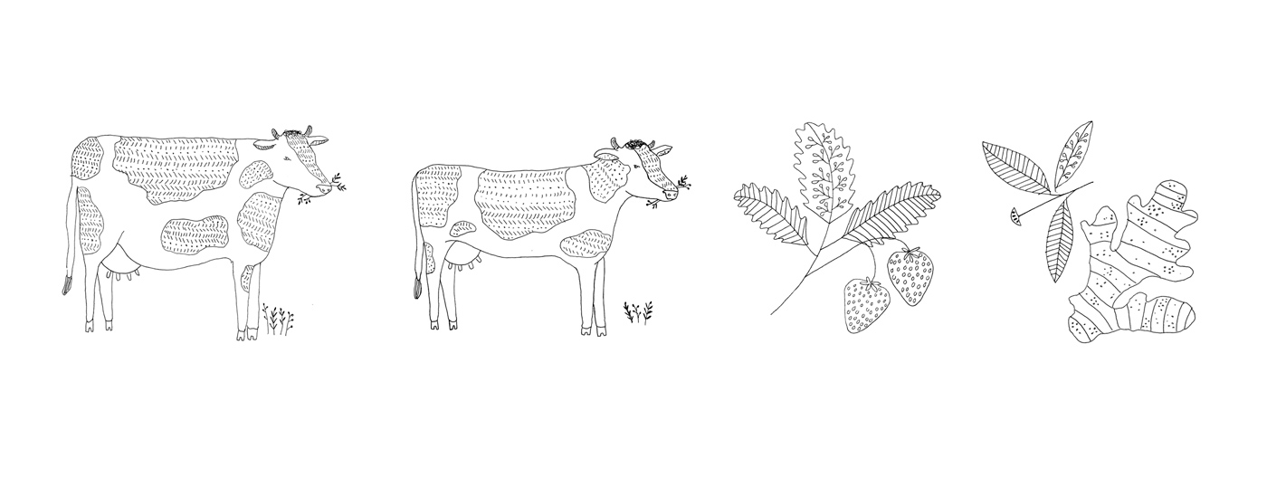 杭州酸奶品牌包裝設(shè)計參考(圖5) 杭州酸奶品牌包裝設(shè)計參考(圖5)