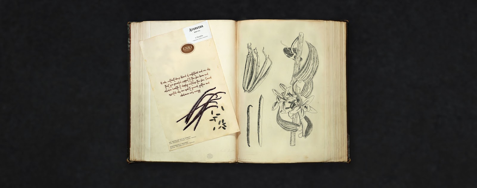 南昌禮盒設(shè)計(jì)-南昌禮盒設(shè)計(jì)公司(圖5) 南昌禮盒設(shè)計(jì)-南昌禮盒設(shè)計(jì)公司(圖5)