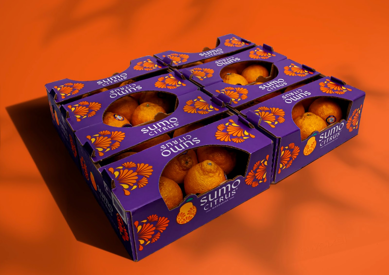 包頭水果品牌包裝設(shè)計(jì)非常有吸引力(圖4) 包頭水果品牌包裝設(shè)計(jì)非常有吸引力(圖4)