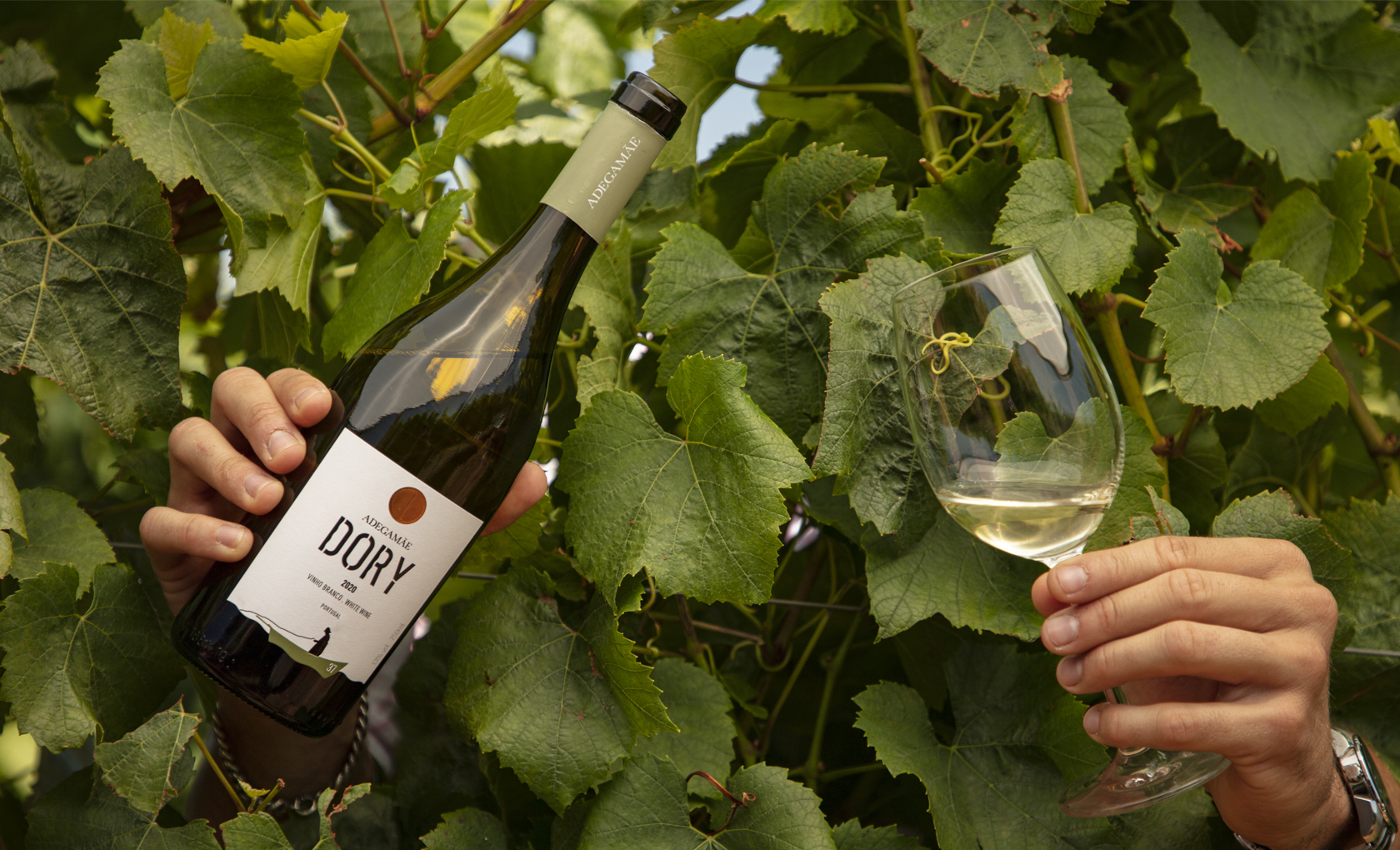 葡萄酒包裝也需要講故事(圖5)