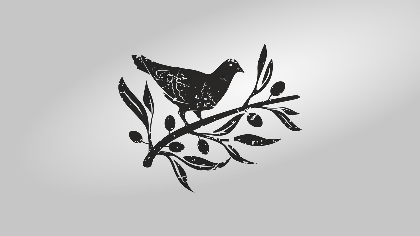 Elasion橄欖油創(chuàng)新包裝設(shè)計(jì)(圖3)