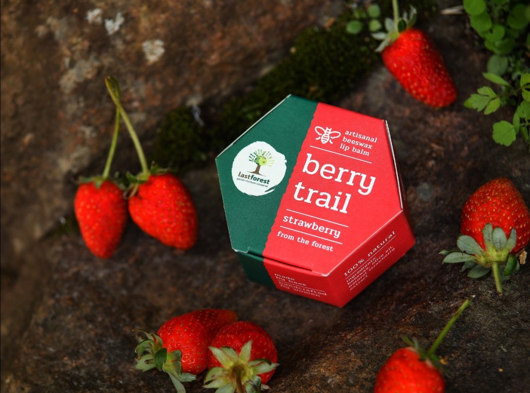?Last Forest 手工蜂蠟潤唇膏的包裝設(shè)計(圖8)