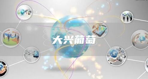 大興葡萄(圖1) 大興葡萄(圖1)