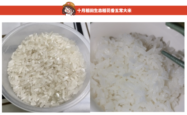 SHI YUE DAO TIAN 十月稻田 五常大米 5kg包裝設(shè)計欣賞 (圖2) SHI YUE DAO TIAN 十月稻田 五常大米 5kg包裝設(shè)計欣賞 (圖2)