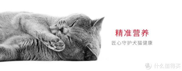 【皇家/ROYAL CANIN品牌故事】皇家/ROYAL CANIN品牌介紹品牌logo設計欣賞(圖1)