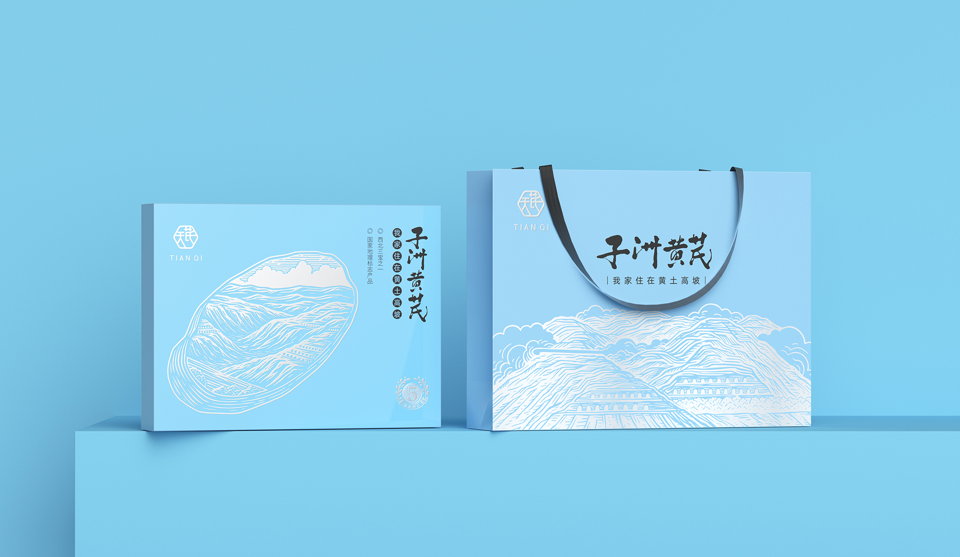 如何設(shè)計(jì)黃芪禮盒包裝(圖1)