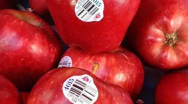 四喜：老字號做正宗，不能空喊(圖6)