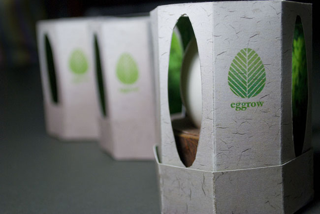 工藝品包裝設(shè)計(jì)(圖2)