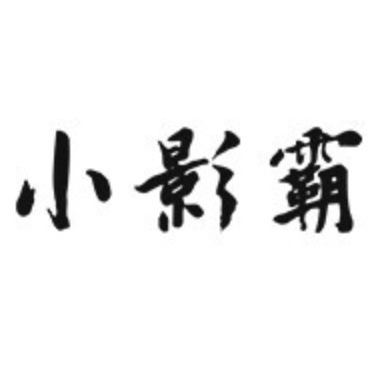 小影霸品牌logo設(shè)計(jì)欣賞與分析(圖1) 小影霸品牌logo設(shè)計(jì)欣賞與分析(圖1)