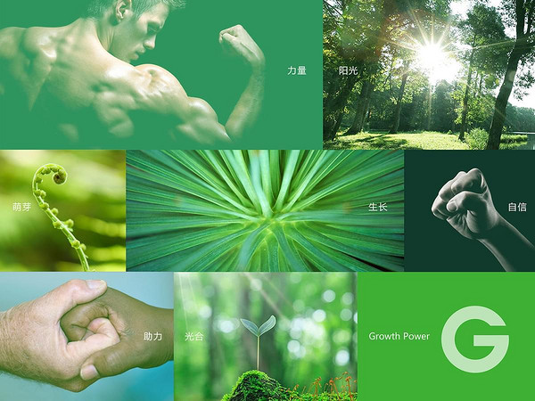 光合力量品牌故事-logo設(shè)計分析(圖2)