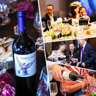 創(chuàng)意酒包裝設(shè)計蒙特斯天使秘密紫天使空加瓜谷干型紅葡萄酒產(chǎn)品包裝設(shè)計欣賞(圖8)