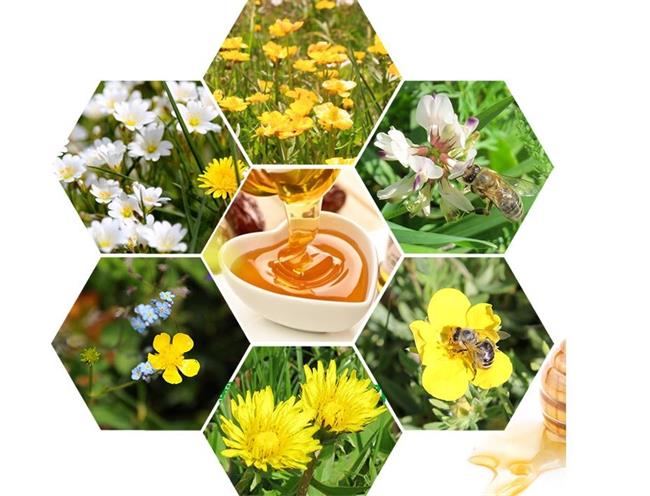 帝一純品牌logo與產(chǎn)品包裝設(shè)計(jì)欣賞(圖4)