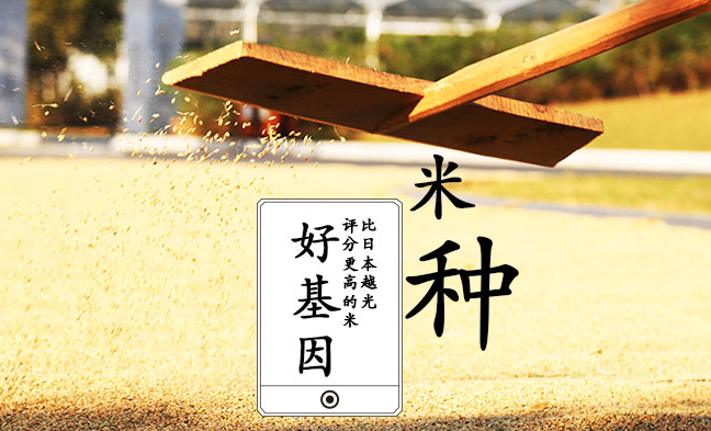 一號(hào)農(nóng)場(chǎng) 一號(hào)農(nóng)場(chǎng)品牌logo與食品包裝設(shè)計(jì)欣賞(圖4)