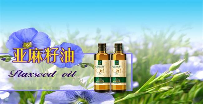 圣基品牌logo與食品包裝設(shè)計(jì)欣賞(圖2)