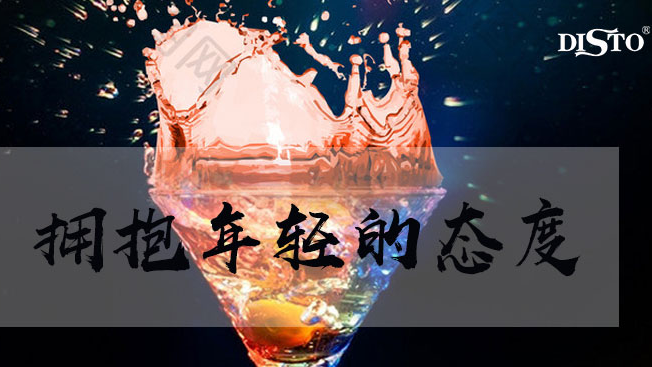 DISTO迪士品牌logo與食品包裝設(shè)計欣賞(圖4)