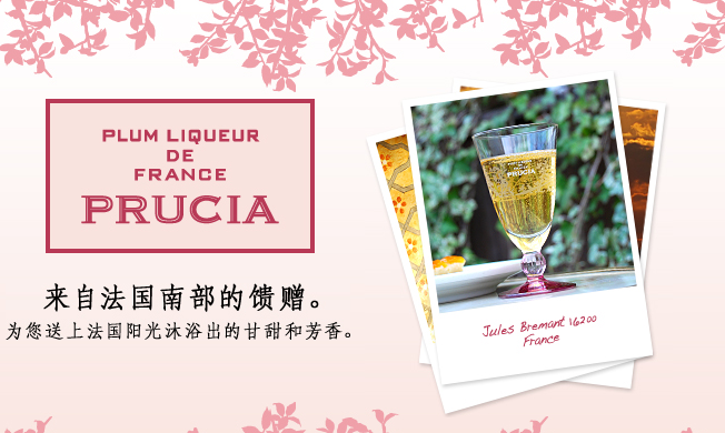 芙樂夏李子利口酒 PRUCIA芙樂夏品牌logo與食品包裝設(shè)計(jì)欣賞(圖2)
