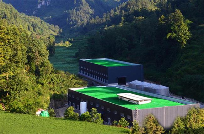 TAIJI太極水品牌logo與食品包裝設(shè)計(jì)欣賞(圖2)