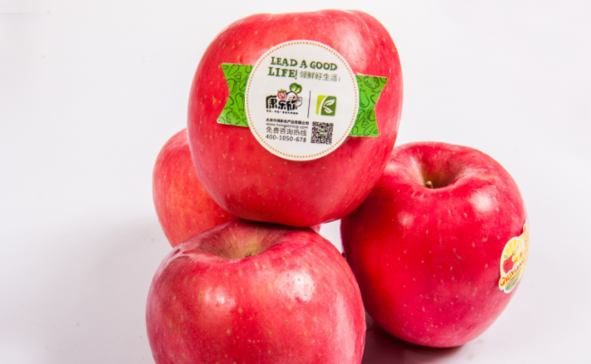 康樂(lè)欣蔬菜 康樂(lè)欣品牌logo與食品包裝設(shè)計(jì)欣賞(圖2)