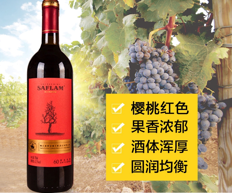 西夫拉姆紅酒 西夫拉姆SIFRAM品牌logo與食品包裝設(shè)計(jì)欣賞(圖3)