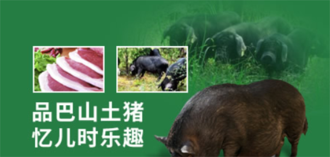 巴山土豬肉 巴山土豬品牌logo與食品包裝設(shè)計欣賞(圖2)