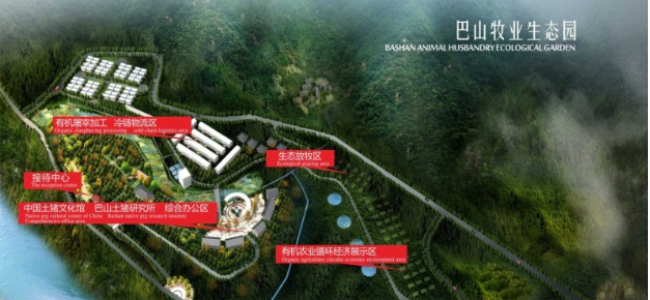 巴山土豬肉 巴山土豬品牌logo與食品包裝設(shè)計欣賞(圖3)