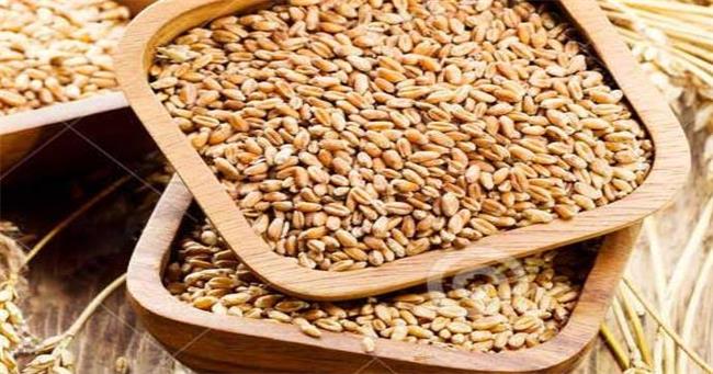 谷淳 谷淳品牌logo與食品包裝設計欣賞(圖2)