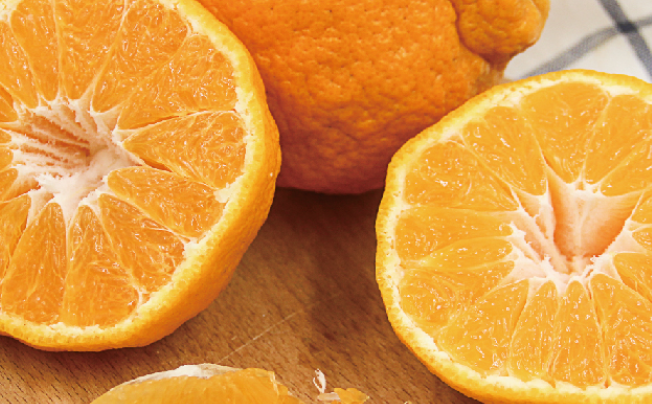 洪九果品品牌logo與食品包裝設(shè)計(jì)欣賞(圖3)