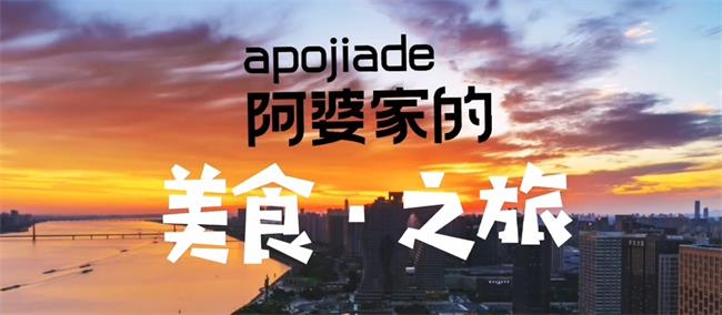 阿婆家的品牌logo與食品包裝設(shè)計(jì)欣賞(圖2)