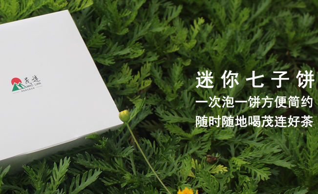 茂連 MAO LIAN茂連食品包裝設(shè)計(jì)欣賞(圖3)