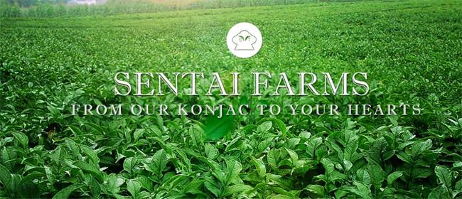 森態(tài)魔芋 森態(tài)食品包裝設計欣賞(圖2)