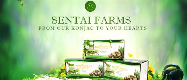 森態(tài)魔芋 森態(tài)食品包裝設計欣賞(圖3)