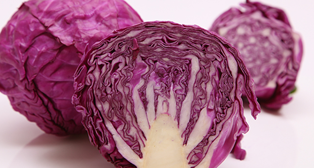 嘉仕有機(jī)食品包裝設(shè)計(jì)欣賞(圖3)