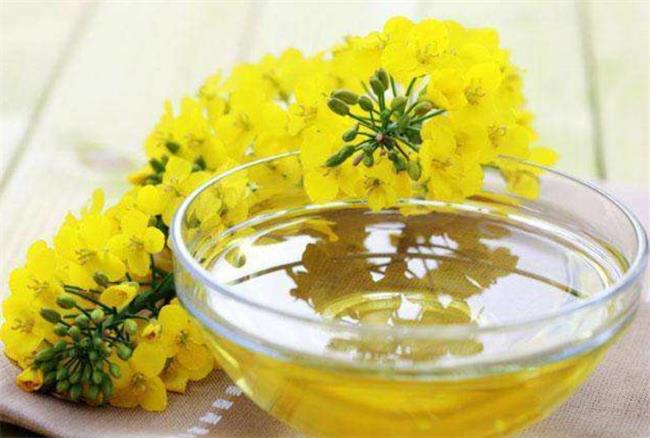 豐順農(nóng)業(yè)食品包裝設(shè)計(jì)欣賞(圖4)