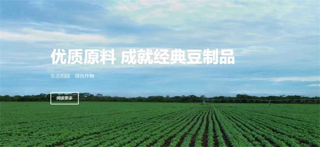 豆果果豆制品 豆果果食品包裝設(shè)計(jì)欣賞(圖3)