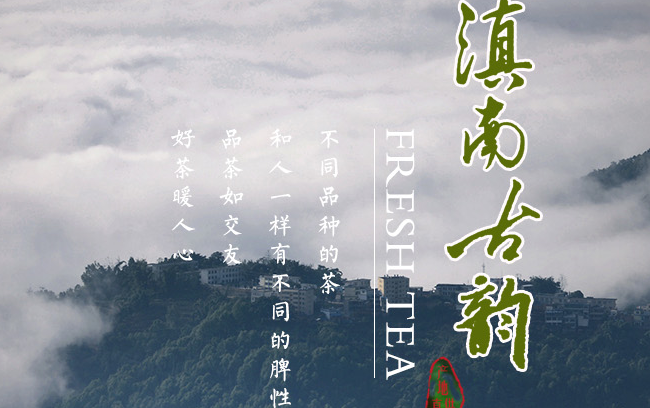 滇南古韻食品包裝設(shè)計(jì)欣賞(圖3)