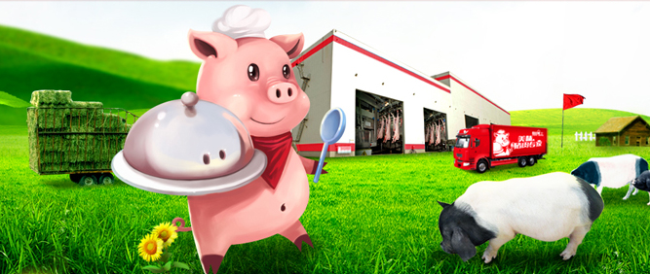 MEAL BOSS膳博士食品包裝設(shè)計(jì)欣賞(圖4)