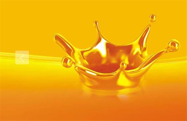 XUNDA訓(xùn)達(dá)食品包裝設(shè)計(jì)欣賞(圖4)