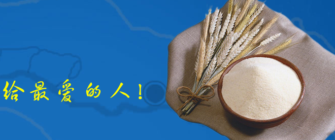 河套面粉 河套食品包裝設(shè)計欣賞(圖4)