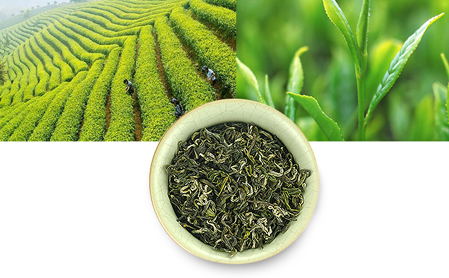 貢品堂食品包裝設(shè)計(jì)欣賞(圖4)