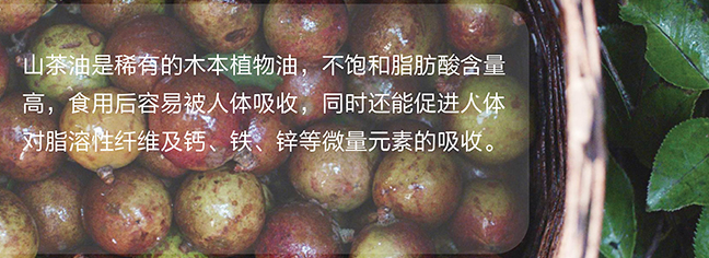 山潤(rùn)山茶油食品包裝設(shè)計(jì)欣賞(圖2)