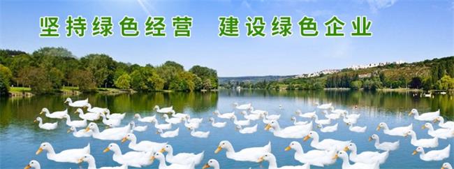 忠意食品食品包裝設計欣賞(圖2)