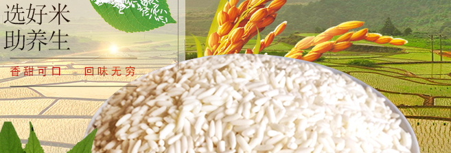 徐橋 徐橋食品包裝設(shè)計欣賞(圖3)